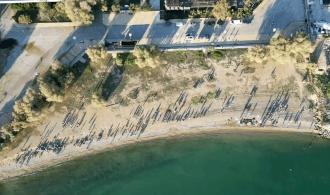 Beach cleanup